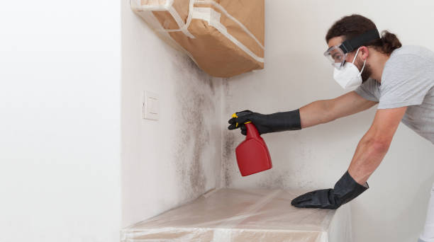 Professional Attic Mold Removal technician working in Entriken, PA