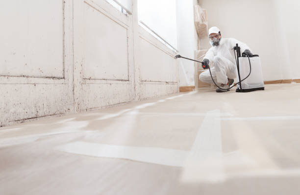 24/7 Emergency Attic Mold Removal experts in Entriken, PA
